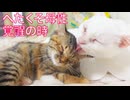 お姉さん猫、へたくそ母性に目覚める