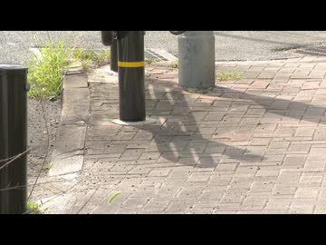 15歳男子中学生を強盗･恐喝･窃盗･児童ポルノ禁止法違反･リベンジポルノ防止法違反など6事件7つの容疑で逮捕･送検