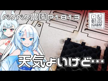 2026年8月10日　日記1812　日記動画投稿祭2026年夏　天気が良いけど木工細工で椅子造り