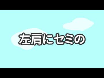左肩にセミの / 初音ミク【オリジナル曲】
