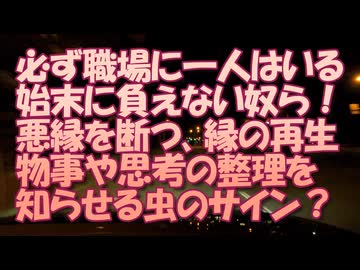 職場の始末に負えない奴ら...虫が知らせる何かの分岐点？