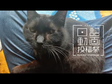 【日記動画投稿祭2026年夏】我が家の猫日記　11日目：クソデカにゃーん製造元【VOICEVOX：東北ずん子】