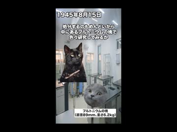 【デーモンコア】史上最悪の実験！１本のマイナスドライバーが生んだ悲劇とは？ #猫マニ #猫ミーム