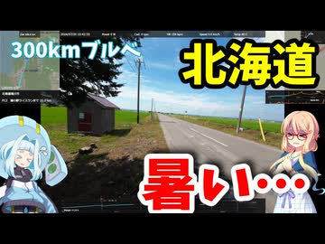 【自転車車載】BRM720近畿300km千歳 忙しい人のための北海道サイクリング――北海道なら涼しいと思っていた【ブルベ】