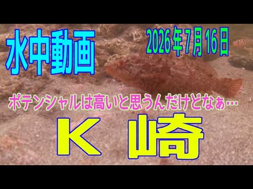 水中動画（2026年7月15日）in　K崎