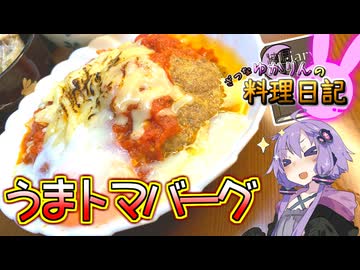 スパイストマトの海に沈むうまトマハンバーグです！【VOICEROIDキッチン】
