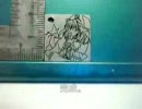 レーザーで描いて、作ってみました。（幽々子　ストラップ？）