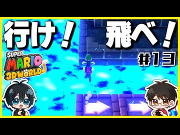 【#13】3D世界での横スクアクション【スーパーマリオ3Dワールド】