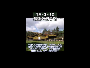 TM-3-12 最後の列車砲