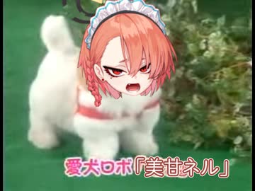 愛犬ロボ「美甘ネル」