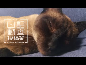 【日記動画投稿祭2026年夏】我が家の猫日記　12日目：猫が寝落ちするだけ【VOICEVOX：東北ずん子】