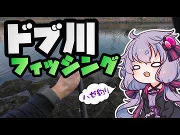 久しぶりにホームリバーでハゼ釣るおじさんを実況する結月ゆかり【VOICEROIDフィッシング】