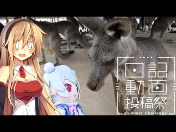 【日記動画投稿祭2026夏】なつぞらcontrail#22北九州だ　カンガルーが目の前にいる【VOICEROID旅行】
