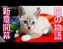 猫の物語、新章が開幕する