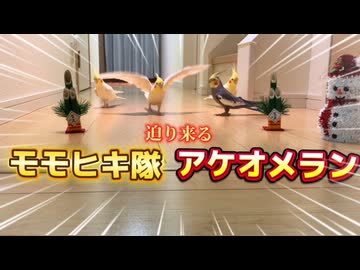 【神回避】2026年もおはようの暴走ｗ新春から廊下を爆走する破壊神たちにエールを‼️