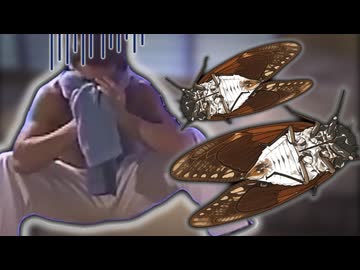 仰向けのセミしか部員がいなくなった空手部