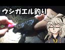 夜な夜なウシガエルを釣る【つむぎのテキトーフィッシング】