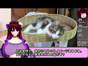 【AV参戦】私と真逆な鋼メンタルなのではこの子・・・？【にゃん】