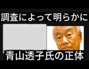 【日航機墜落事故191】幻の動画。波紋を呼んだ青山本の正体　#jal123 #日航機墜落事故 #青山透子