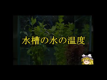 【怖い話】、水槽の水の温度・ゆっ怖1731本編は上のリンク↑