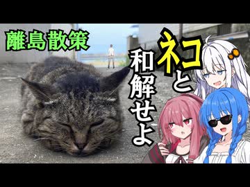 【離島散策】猫の島、相島