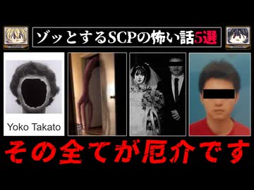 【読んだらなにかが起こる小説】ゾッとするSCPの怖い話5選【ゆっくり解説/ホラー/依談/tale/パラウォッチ】