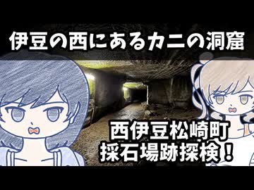 【第12回ひじき祭】伊豆の西にあるカニの洞窟【伊豆カニ探しツーリング】