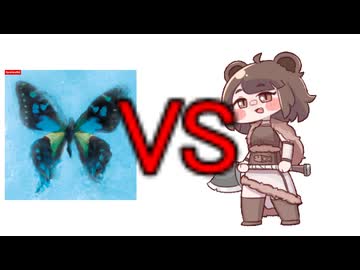 あたしはベニーvsアゲハ蝶だ。