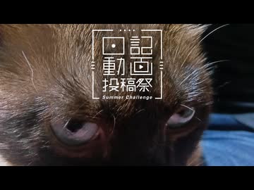 【日記動画投稿祭2026年夏】我が家の猫日記　13日目：大脱走【VOICEVOX：東北ずん子】