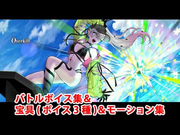 【FGO】水着リリス〔ライダー〕（ゲスト版） 宝具(ボイス3種類)＆バトルボイス集＆バトルモーション集【Fate/Grand Order】