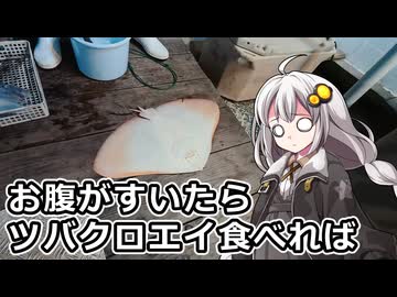 釣れなくても料理！ツバクロエイの唐揚げ！【VOICEROIDキッチン】