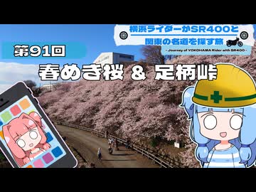【SR400】横浜ライダーがSR400と関東の名道を探す旅 第91回「春めき桜 ＆ 足柄峠」