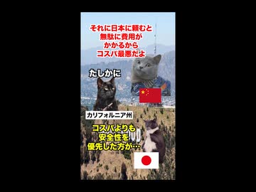 【高速鉄道 アメリカ】天国と地獄！？日本と組んだテキサス新幹線と中国と組んだカリフォルニア新幹線 #猫マニ #猫ミーム #ショート