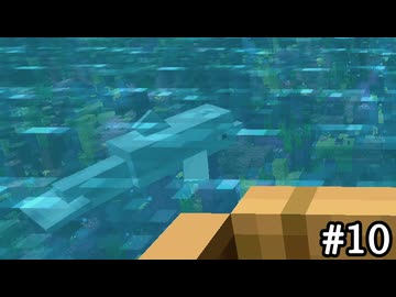 □イルカセラピー【Minecraft】#10