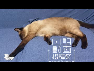 【日記動画投稿祭2026年夏】我が家の猫日記　14日目：爪を切られ猫【VOICEVOX：東北ずん子】
