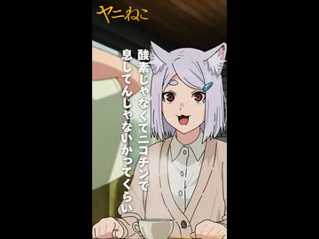 ヤニねこ short「絶対にマネしないでください」