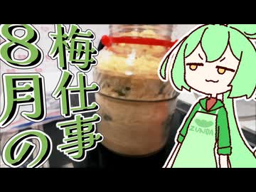 ８月でも梅仕事をするのだ【日記動画投稿祭2026夏・8/15】