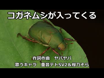 【重音テトSV2＆桜乃そら】コガネムシが入ってくる