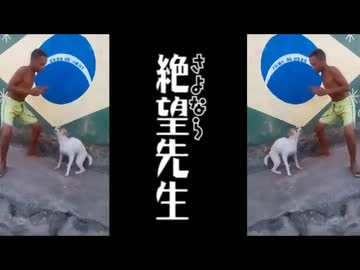 強引niマイBrazil Dog Dance