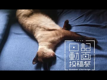 【日記動画投稿祭2026年夏】我が家の猫日記　15日目：猫自由形【VOICEVOX：東北ずん子】