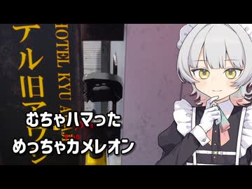 【暁記ミタマ】むちゃハマったカメレオン【めっちゃカメレオン】