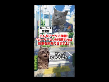 【カーリース】契約したら地獄行き決定！？サブスクで高級車を乗り回せる裏側と罠 #猫マニ #猫ミーム #ショート