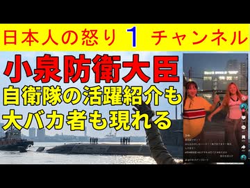 【小泉大臣が自衛隊情報をアップする】熊本と千葉の災害に奮闘する自衛隊を紹介するものの千葉県の蘇我駅前で踊るバカ女の動画も拡散される