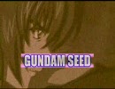 GUNDAM SEED EternalLove