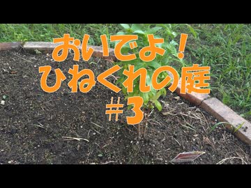おいでよ！ひねくれの庭　#3