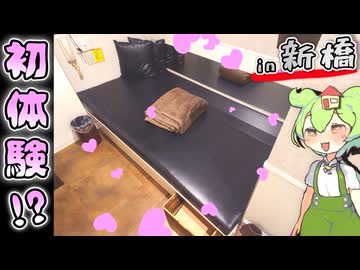 【自腹レビュー】都内一泊5000円。新橋駅徒歩３分にあるレンタルルームに泊まってみた【VOICEVOX解説】