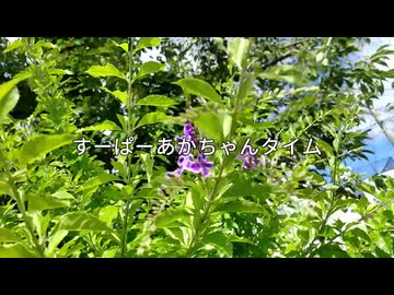 【Vlog】JK最後の夏休みのある日。～インドア音大受験生がボカコレのために健康になってみた。