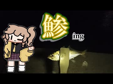 【春日部つむぎと見る！】アジ釣って！アジフライ食べる！！！！編