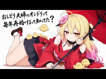 「ホントのオシドリ」/uMRI feat. 本加納永寿（ほんかのえーす）［ACE Studio］