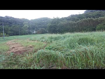 館山早朝散歩にて←私事【アラ還・読書中毒】終戦記念日、ソ連軍の千島占領ｈ米軍の協力があった！シェディング
